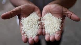 rice price, basmati rice exports, economy